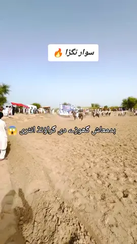 #گھوڑے_شوق_نواباں_دا🐴 