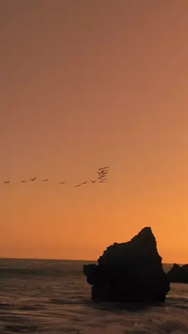 #اكسبلورررررررررررررررررررر♡ #salah #تصويري📷 #