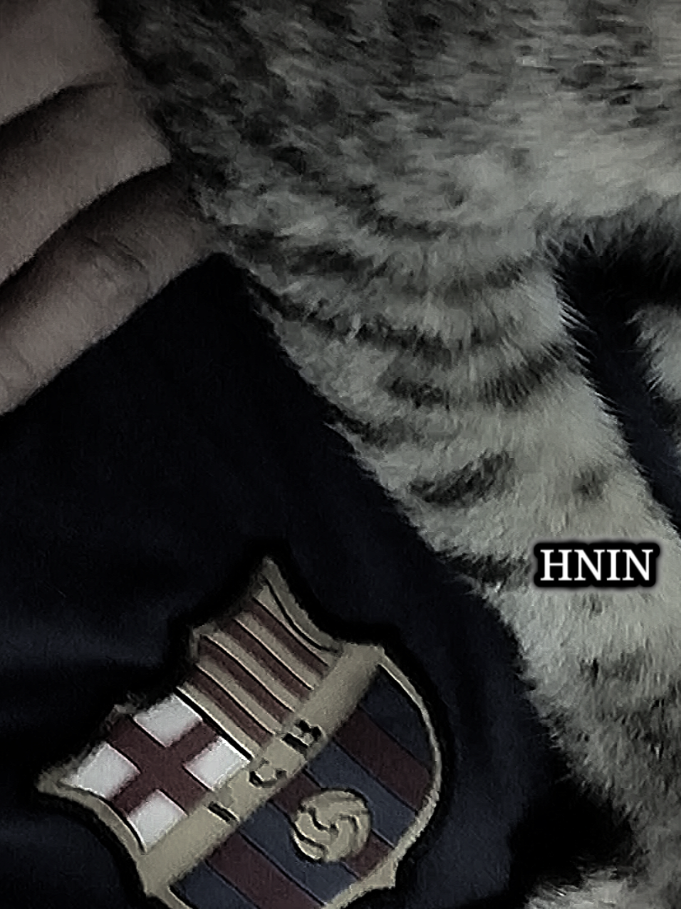 အဲ့ဒါ တကယ်နော်။ #hnin  #cloudlover  #foryou  #fpyシ  #goodnight 