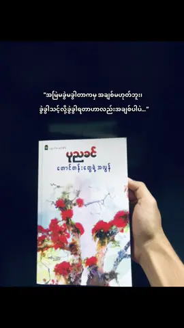 တောင်တန်းတွေရဲ့အလွန်❤️ #ပုညခင် #bookworm #BookTok #fypシ゚viral #tiktokmyanmar 