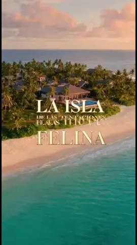 La isla de las tentaciones felina.