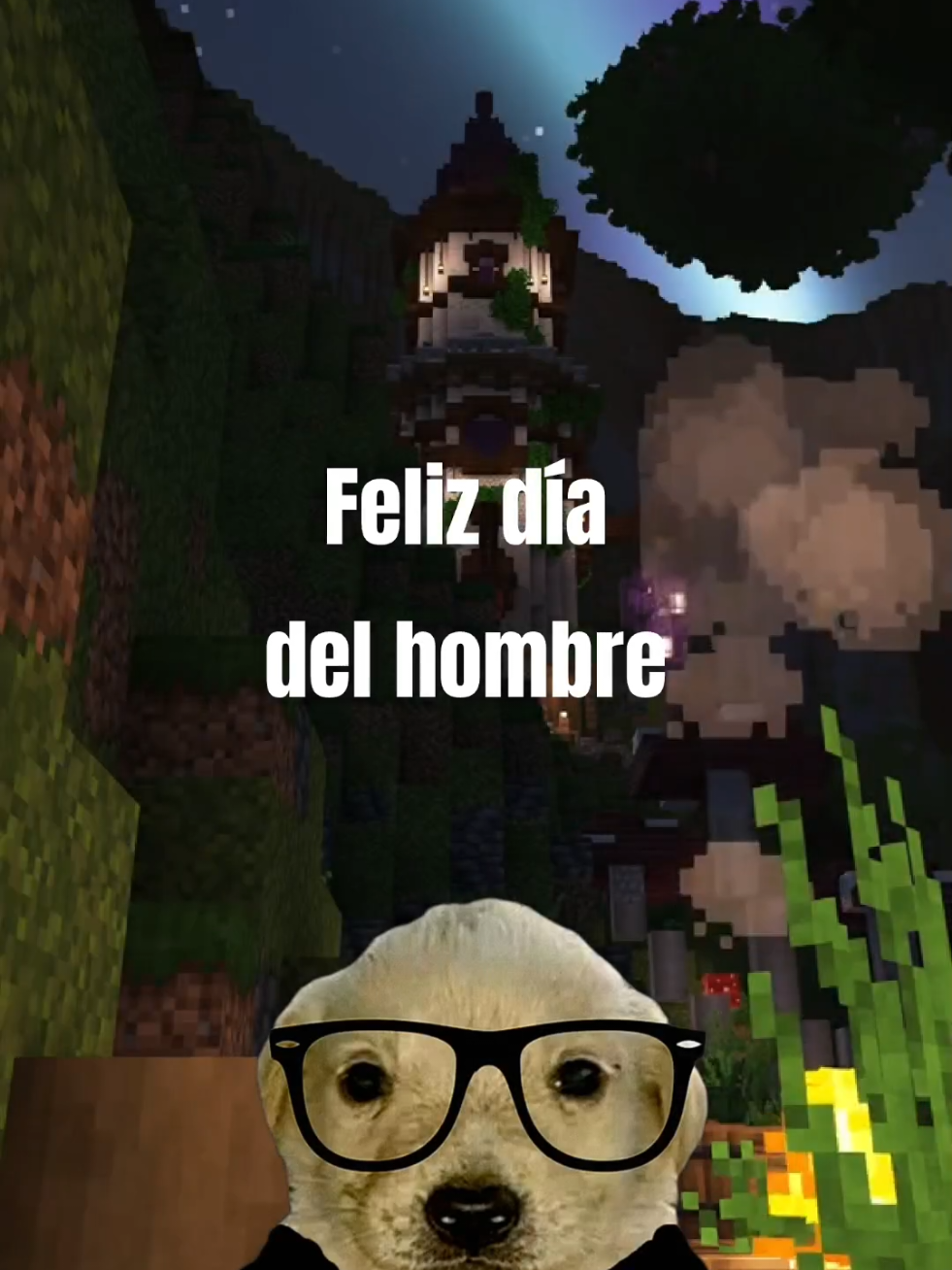 Día internacional del hombre #motivacion #reflexion #hombres 