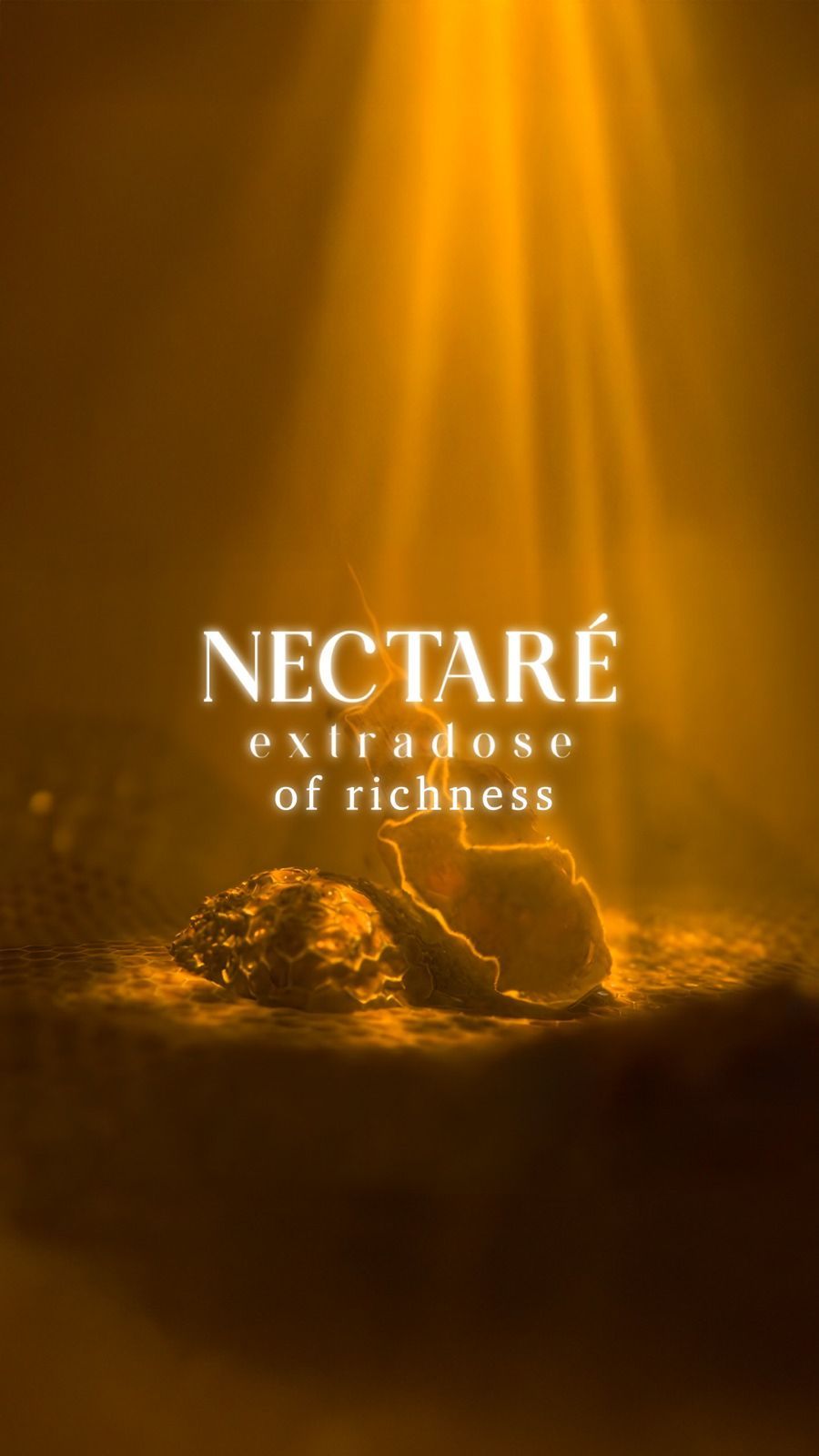 The wait is over. The richness is real. NECTARÉ extradose of richness. 📲 Follow @fragranceworldofficial for early access to new perfume launches, fragrance tips, and stories behind the scents 💡✨