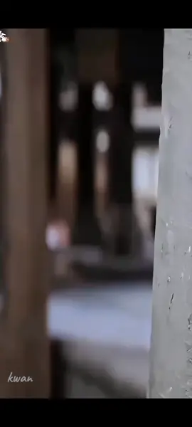 wanghedi 🥰🥰💜💜🍉🦋🐒#ฟีดดดシ #เปิดการมองเห็น #fypシ゚ #wanghedi #dylanwang王鹤棣 