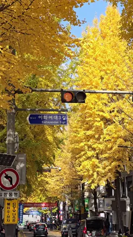 Ewha Womans University Station Exit 2 #韓国 #서울 #Seoul  #단풍  #autumn 