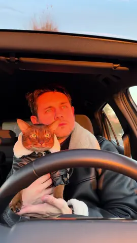 The perfect sunset with your best friend 😻