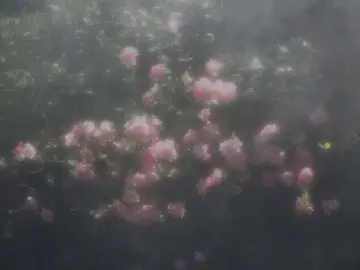 ... #песнидлялипсингов #песни #егочувствакомне #егочувствактебе #популярное 