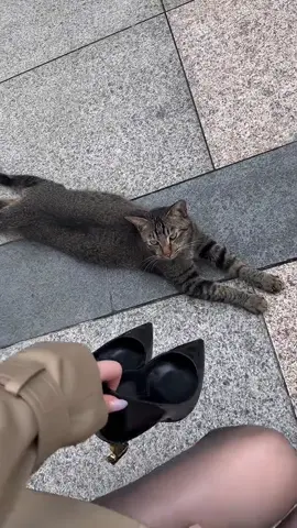 Quần tất đen đẹp lắm luôn mọi người 🥰🥰🥰 #gaixinhmacquantat #gaixinhmacquantatden #quantat #pantyhose 