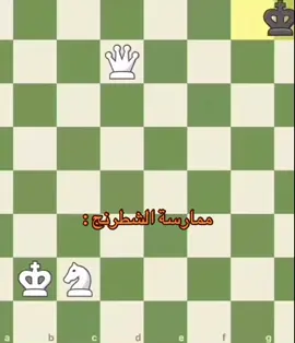 #مشاهدات100k🔥 #fypシ゚ #فلسطين #__explore___ #fyp 