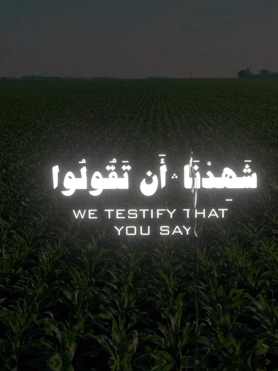 ما اجملها ختام 🤍🤚🏻 المنشاوي || سورة الأعراف 🤍 . . . . . #المنشاوي #سورة_الأعراف  #قرءان #قرءان_كريم #quran 