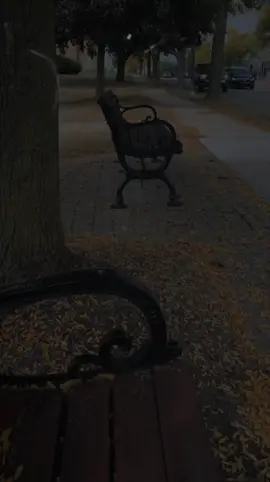 🙂❤ #مصطفي_ديشا#شعر  #سنه_جدبده#استوريات  #مؤمن_عيد 