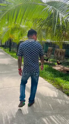 Trăm nghe không bằng 1 thấy. Quá Vip, ae mua liên hệ a Mạnh 08234//567///79#thịnhhành #xuhuong #mittracu #viral #suhuongtiktok2025❤️❤️❤️🥰❤️❤️ 