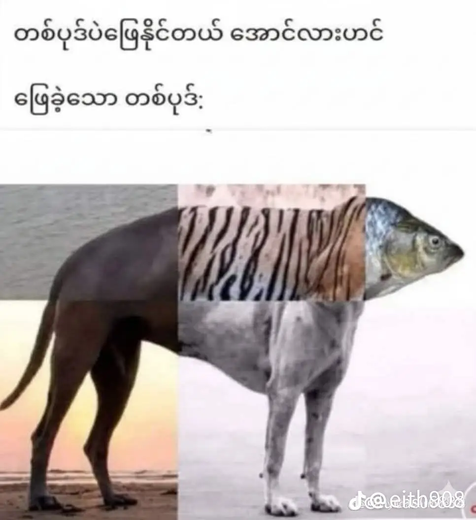 #ငါးဘာသာဖြေပြီး #မိတ္ထီလာစီးပွားရေးတက္ကသိုလ်💕💕 