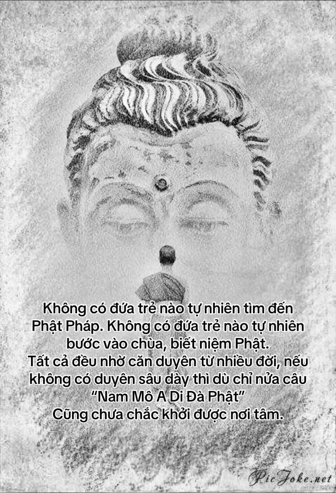 #phatphapnhiemmau #phatphap #phatgiao #phậttạitâm #phatphapvobien 