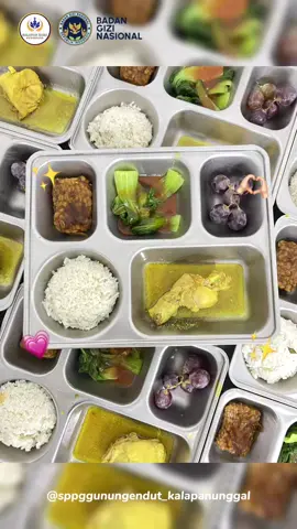 Gimana review hari ini adik adik😍🥰 #mbg #mbglovers❤️ #sppggunungendutkalapanunggal #bgn 