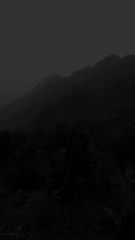 يوم القيامة... #حديث #اكتب_شيء_تؤجر_عليه #الاستغفار #التسبيح #الصلاة 