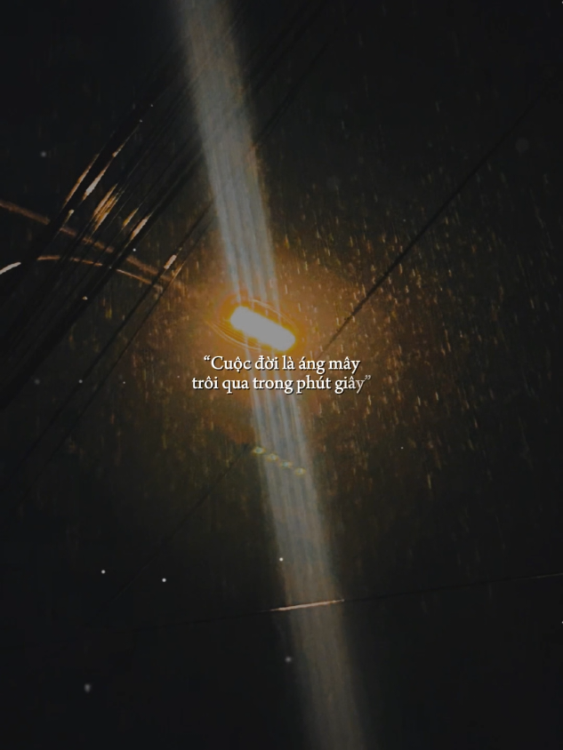 #forme #nhạcchill #tâmtrạng #foryou #fyp 