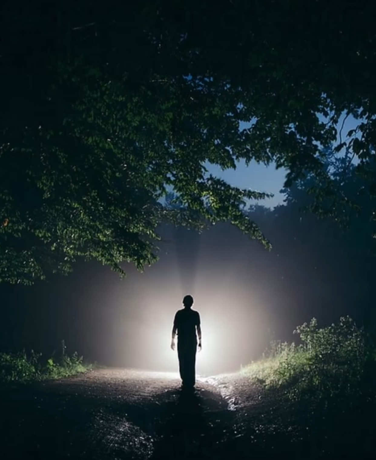 ياروحي صبري وتاني مانقدر نحب ثاني ! #اغاني_مسرعه💥 #اغاني_عراقيه #foryoupage #fyppppppppppppppppppppppp 