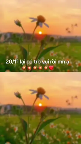 20/11 tiếp tục cho mn chung niềm vui …mn điểm danh ạ❤️