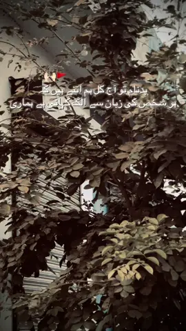 HN G🚩🏴‍☠️….!!!!repost kro yrr sara praa Tiktok team plz unfreeze my account #follow #repost #unfreezemyacount #trend #fyp @marco gaming❤️‍🔥 @Jutt🤟🏻edits @TikTok @TikTok Pakistan @tiktok creators 