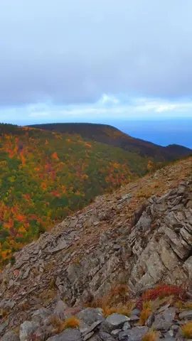 Not much in this world beats a good view #canada #capebreton #view #meatcove #meatcovemountain 