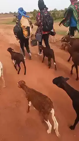 #viu #fpy_tiktok #views #fpyシ #ws 