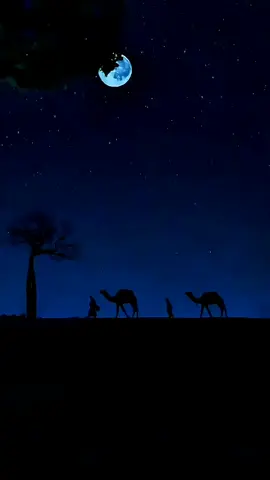 لما تنادوا بالرحيلِ سألتهم  أوَ بعدما زانَ المُقامُ وطابا؟ 🖋️لقائلها  🎙️@حسني مالك  #شعر #فصحى #قصيد #اكسبلور  #creatorsearchinsights 