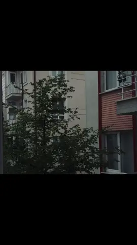 My cam 🎥 #سودانيز_تيك_توك #شيخ_الزين #قران #quran #تصويري 