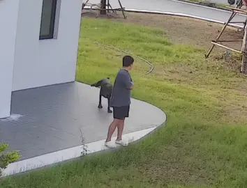 กุดสะมอนิ๊งงงง #สวนสัตว์tiktok #หมาน่ารัก #หมาน้อย #หมาแสนรู้ #fyp 