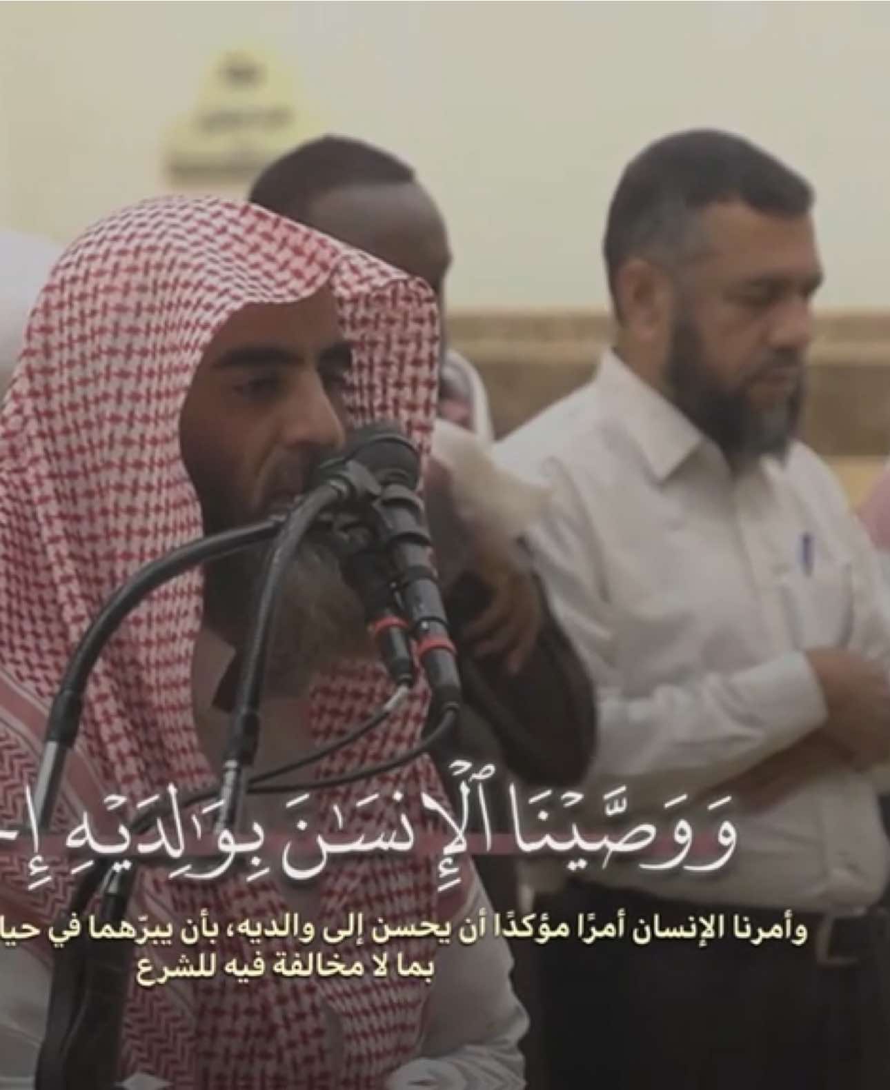 ﴿ وَوَصَّيْنَا الْإِنسَانَ بِوَالِدَيْهِ إِحْسَانًا﴾  تِــلاوة هـادئـه لـمـا تـيـسـر مـن ســورة الأحقاف   للـشـيـخ مـحـمـد اللحيدان  ١٤٤٠هــ ___________________________________ #تلاوة #سورة_الأحقاف #محمد_اللحيدان  #القرآن_الكريم #creatorsearchinsight 