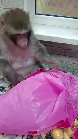 Распаковка