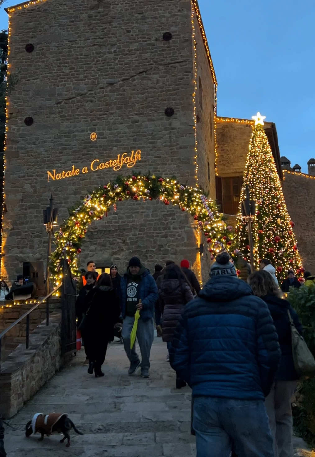 Dal 6 dicembre, il borgo medievale di Castelfalfi si accende di luci e atmosfera natalizia, trasformandosi in un luogo fiabesco dove vivere il periodo delle feste in un modo unico. Cosa troverai? 🛍️ Mercatini artigianali: scopri decorazioni natalizie, ceramiche fatte a mano, e tanti regali unici. 🍷 Street food e prelibatezze locali: dal vin brulé alle castagne arrostite, lasciati conquistare dai sapori della tradizione. 🎅 Incontri con Babbo Natale: un’esperienza magica per i più piccoli! 🎭 Spettacoli itineranti: musica dal vivo e performance tra bande, parate e cori gospel che si esibiranno in performance spettacolari. ✨ Un borgo illuminato: passeggia tra le strade avvolte da un’atmosfera incantata grazie alle luminarie.     #mercatinidinatale #toscana #traveltok #natale #fyp 