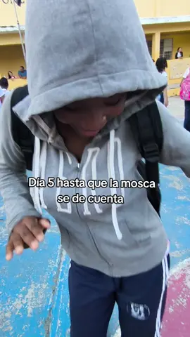 MOSCA DATE CUENTA 😂🪰 #paratiiiiiiiiiiiiiiiiiiiiiiiiiiiiiii #datecuenta 