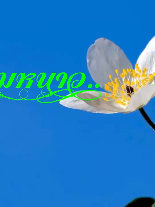 #เพลงอุ่นลมหนาว