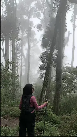 #CapCut ya maap fomo 🧎🏻‍♀️‍➡️ #pendakigunung #tektok #bukitgedong2200mdpl 