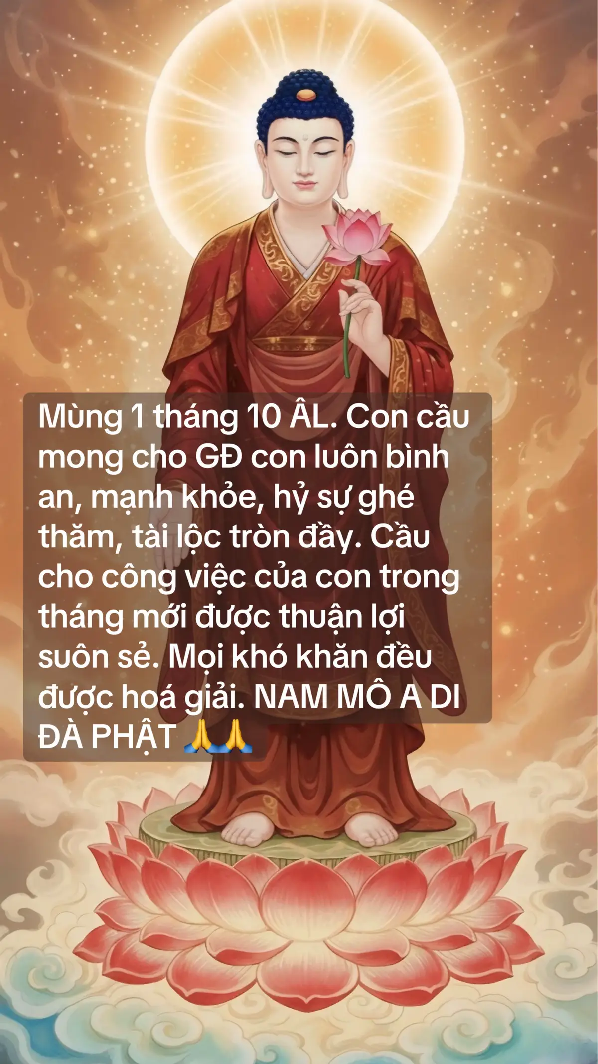 Tháng mới an lành, hạnh phúc ##mung1thang10 #thangmoibinhan  #cauBinhAn #viral #luctudida   
