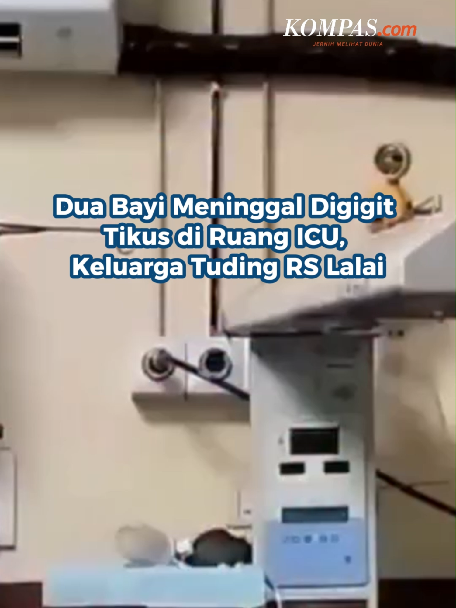 Keluarga salah satu dari dua bayi perempuan yang meninggal setelah diduga digigit tikus di ruang ICU Rumah Sakit MY (MYH) milik pemerintah di India menuduh pihak rumah sakit lalai dan menyesatkan mereka mengenai penyebab kematian.  Sajid Khan, seorang petani dari Distrik Dewas, mengatakan pihak administrasi MYH tidak pernah memberi tahu bahwa putrinya mengalami gigitan tikus, bahkan setelah bayinya meninggal pada Rabu (10/9/2025).  “Saya telah membawa bayi perempuan saya yang baru lahir ke ICU anak-anak. Setelah kematiannya, ketika jenazahnya diserahkan kepada kami, pihak administrasi MYH memberi tahu kami bahwa ia meninggal karena infeksi darah. Kami tidak diberi tahu saat itu bahwa ia digigit tikus di ICU. Kami menolak otopsi dan membawa jenazahnya,” ujarnya dikutip dari NDTV. Pihak administrasi rumah sakit tetap bersikeras bahwa kedua bayi tersebut meninggal karena kondisi kesehatan serius yang sudah ada sejak lahir. Dua bayi perempuan tersebut sebelumnya menderita berbagai kelainan bawaan. Mereka diduga digigit tikus di ICU MYH pada malam 31 Agustus hingga 1 September 2025.  Luka tersebut kemudian disebut menyebabkan kematian keduanya. Presiden JAYS, Lokesh Mujalda, dalam pertemuan dengan pejabat administrasi, kembali menuntut pemberhentian sementara sejumlah pejabat senior, termasuk pengawas MYH, serta meminta kasus tersebut diproses sebagai dugaan pembunuhan tidak disengaja. Penulis: Albertus Adit  Kreatif: Jessica Meisya Kurnia Produser: Elizabeth Ayudya Ratna Rininta ~J #Tikus #India #Bayi ##Cut