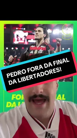 #tiktokesportes #pedro #flamengo #palmeiras 