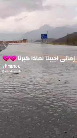 #اناشيد_إسلامية_حالات_واتس #الحمدلله_دائماً_وابداً💚🌧️🤲 #الحمدالله_علی_کل_حال❤ #اللهم_صلي_على_نبينا_محمد 