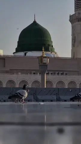 في صباح يوم الخميس والتاسع والعشرون من شهر جماد الأول #جمادى_الاولى #صباح_الخير #الخميس #تريند #trending 