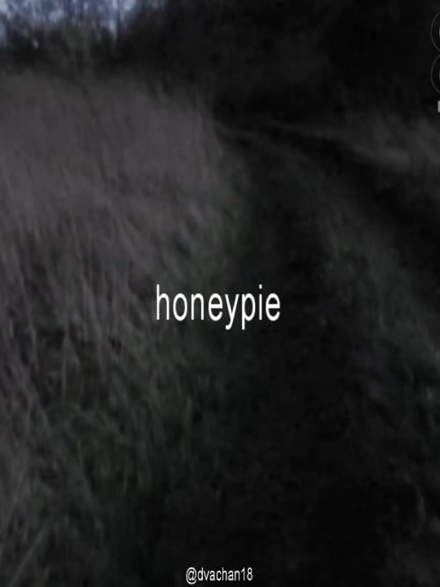 honeypie #lyrics_songs #songlyrics #honeypie #digitalcamera #honey
