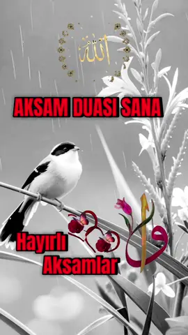 #😢😢😢😢😭😭😭😭😭🙂‍↕️🙂‍↕️🙂‍↕️🙂‍↕️🙂‍↕️😢😢 #kesfetbeniöneçıkart #kesfetteyiz #kesfetteyiz 