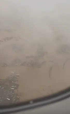 Thương lắm Quy nhơn ơi#xaykenhtitkokhvy🥰😍😘 #xuhuong2025mớinhất 