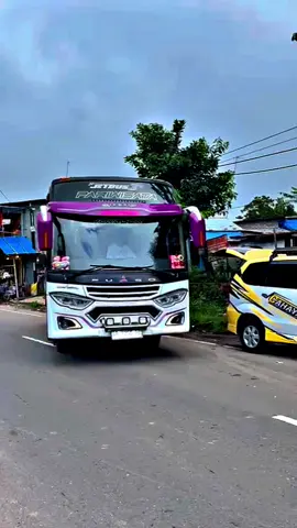 @Rzzzz_1229 📹 @Cv Anugrah trans #cahayawandamalino #buspariwisata #fyppppppppppppppppppppppp #lewatberanda #fypシ 