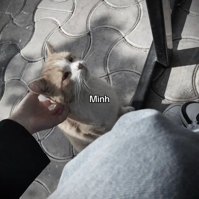 #sadstory #viral #tinhyeu #tam_trang_buon #pheoverthinking 