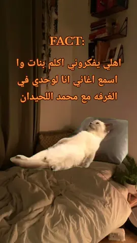 حقيقي 🙇🏻🤍 #بدون_موسيقى #fact #Meme #MemeCut #CapCut 