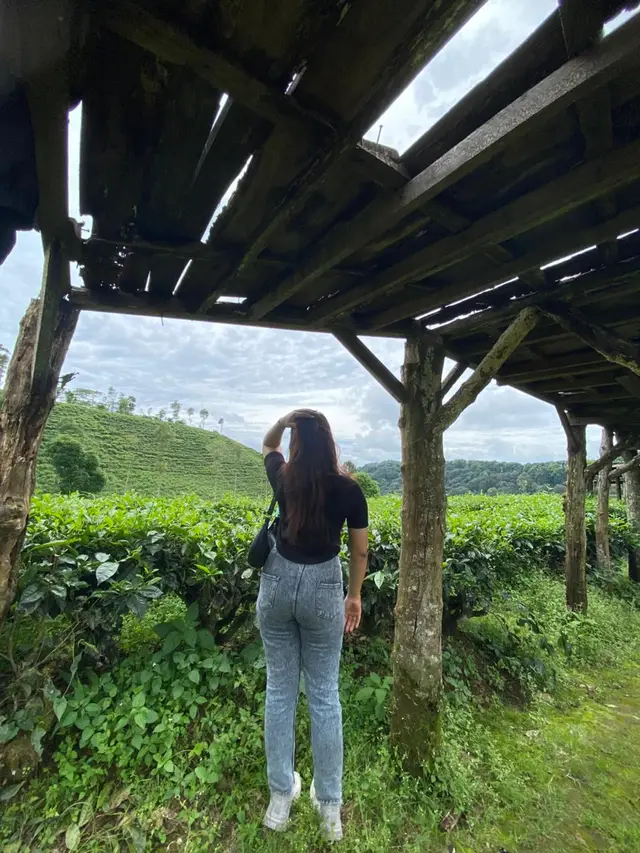 #blitar24jam healing yaa