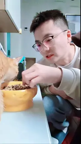 thức ăn mèo có vị gì 