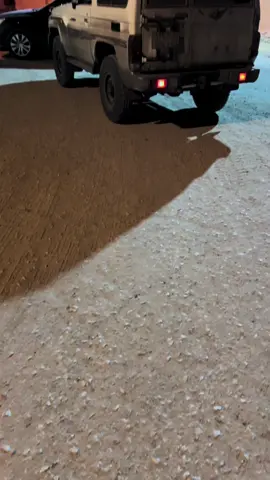 #ماشاءالله #اكسبلور #م_ن_ص_٩٧٩ 