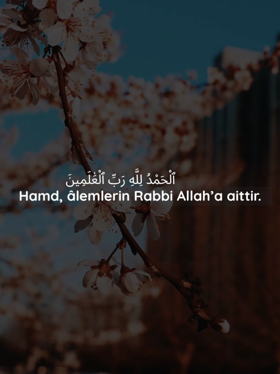 Fatiha Suresi  Rahman ve Rahim olan Allah'ın adıyla Hamd, Alemlerin Rabbi Rahman, Rahim Hesap ve ceza gününün maliki Allah'a mahsustur. Yalnız sana ibadet ederiz ve yalnız senden yardım dileriz. Bizi doğru yola, Kendilerine nimet verdiklerinin yoluna ilet, gazaba uğrayanlarınkine ve sapkınlarınkine değil. #qurann #quranrecitation #kuranmeali #kuran 